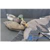 Image 1 : Box of Goose & Duck Decoys