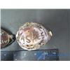 Image 6 : (5) Carved Shells