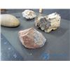 Image 2 : 2pc. Petrified Wood and Rocks