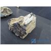 Image 3 : 2pc. Petrified Wood and Rocks
