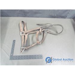 Horse Head Harness