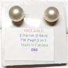 Image 3 : 10K YELLOW GOLD GARNET (0.64CT) FRESHWATER PEARL 2 IN 1   EARRINGS [FW90]