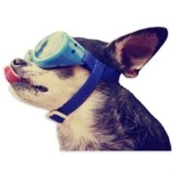 JOY RIDERS CAR WINDOW CLING-DOG WITH GOGGLES