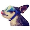 Image 1 : JOY RIDERS CAR WINDOW CLING-DOG WITH GOGGLES