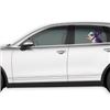 Image 3 : JOY RIDERS CAR WINDOW CLING-DOG WITH GOGGLES