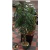 Image 1 : 6FT SILK TREE WITH DECORATIVE PLANTER BIN.
