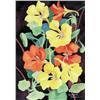 Image 1 : Annora Brown - UNTITLED; NASTURTIUMS