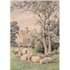 Image 1 : William Sidney Cooper - UNTITLED; RESTING SHEEP