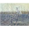 Image 1 : Richard (Rick) K. Berg - UNTITLED; JACK RABBIT
