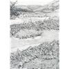 Image 1 : Patrick Douglass Cox - DAMS