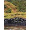 Image 1 : Stephen Hynes - SMALL ROCKY OUTCROP, ENGLISHMAN F