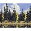 Image 1 : Stafford Donald Plant - THE VOICE OF THE FOREST
