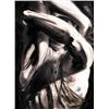Image 1 : Paul Van Ginkel - UNTITLED; MALE TORSO