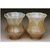 Image 1 : TWO QUEZAL DECORATED SHADES