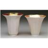 Image 1 : TWO AMERICAN ART GLASS SHADES