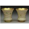 Image 1 : PAIR OF LUSTRE ART SHADES
