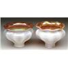 Image 1 : TWO AMERICAN ART GLASS SHADES