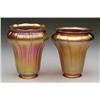 Image 1 : TWO AMERICAN ART GLASS SHADES