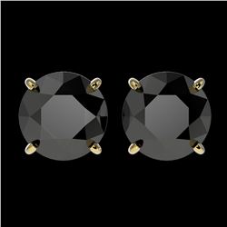 3.50 ctw Fancy Black Diamond Solitaire Stud Earrings 10K Yellow Gold - REF-73F5N - SKU:36702