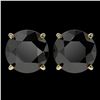 4 ctw Fancy Black Diamond Solitaire Stud Earrings 10K Yellow Gold - REF-84V2Y - SKU:33136