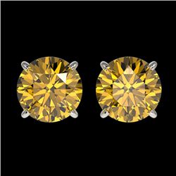 2 ctw Intense Yellow Diamond Stud Earrings 10K White Gold - REF-360V2Y - SKU:33088