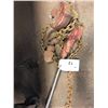 Image 1 : ROTOLIFT 3 TO CHAIN COME-A-LONG