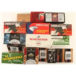 Mixed Ammo Lot