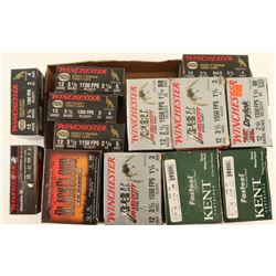 Lot of 12Ga Ammo