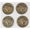 Image 2 : GROUP OF BUFFALO NICKELS