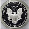 Image 2 : 2003-W AMERICAN SILVER EAGLE