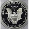 Image 2 : 2001-W AMERICAN SILVER EAGLE