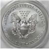 Image 2 : 2013-W AMERICAN SILVER EAGLE