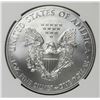 Image 2 : 2015 AMERICAN SILVER EAGLE
