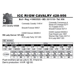 ICC RI/GW CAVALRY 428-956