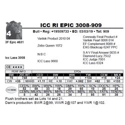 ICC RI EPIC 3008-909