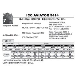 ICC AVIATOR 9414