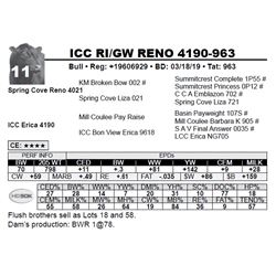 ICC RI/GW RENO 4190-963