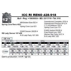 ICC RI RENO 428-918