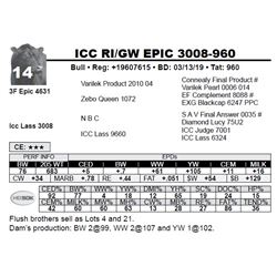 ICC RI/GW EPIC 3008-960