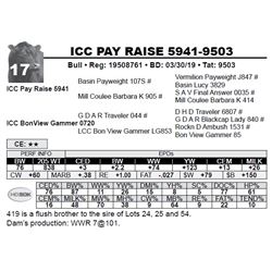 ICC PAY RAISE 5941-9503