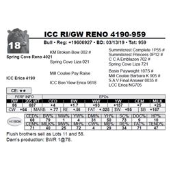 ICC RI/GW RENO 4190-959