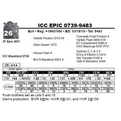 ICC EPIC 0739-9483