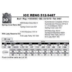 ICC RENO 512-9487