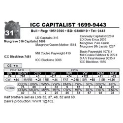 ICC CAPITALIST 1699-9443