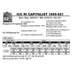 ICC RI CAPITALIST 1699-921