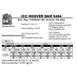 ICC HOOVER DAM 9484