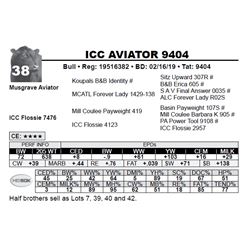 ICC AVIATOR 9404