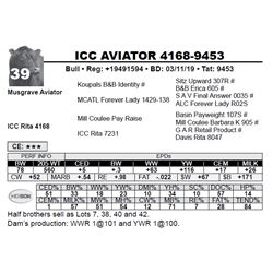 ICC AVIATOR 4168-9453