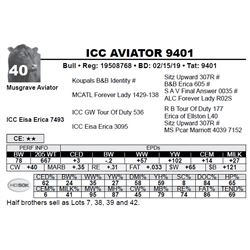 ICC AVIATOR 9401