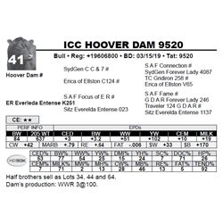 ICC HOOVER DAM 9520